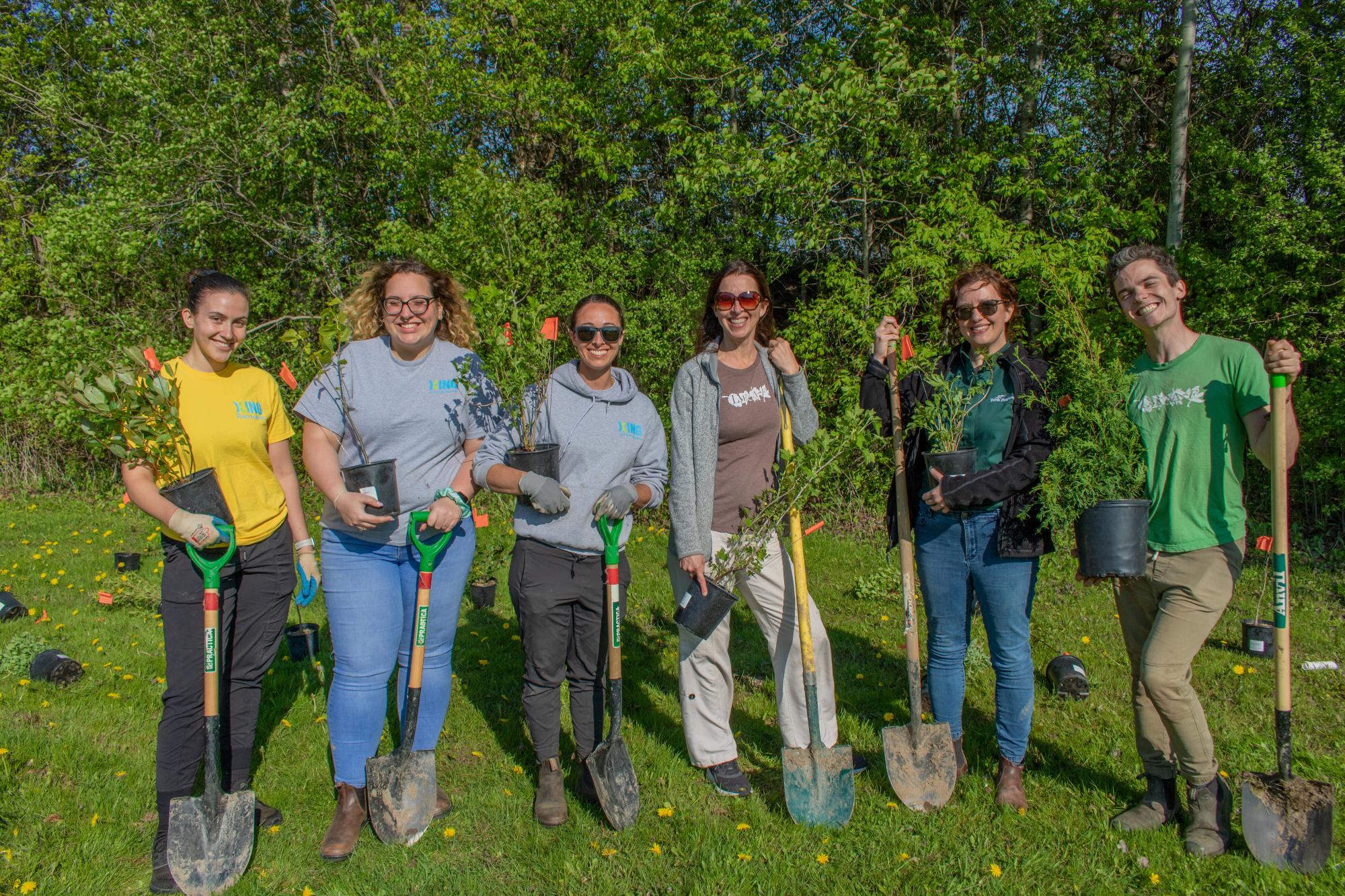 Cold Creek Plantings