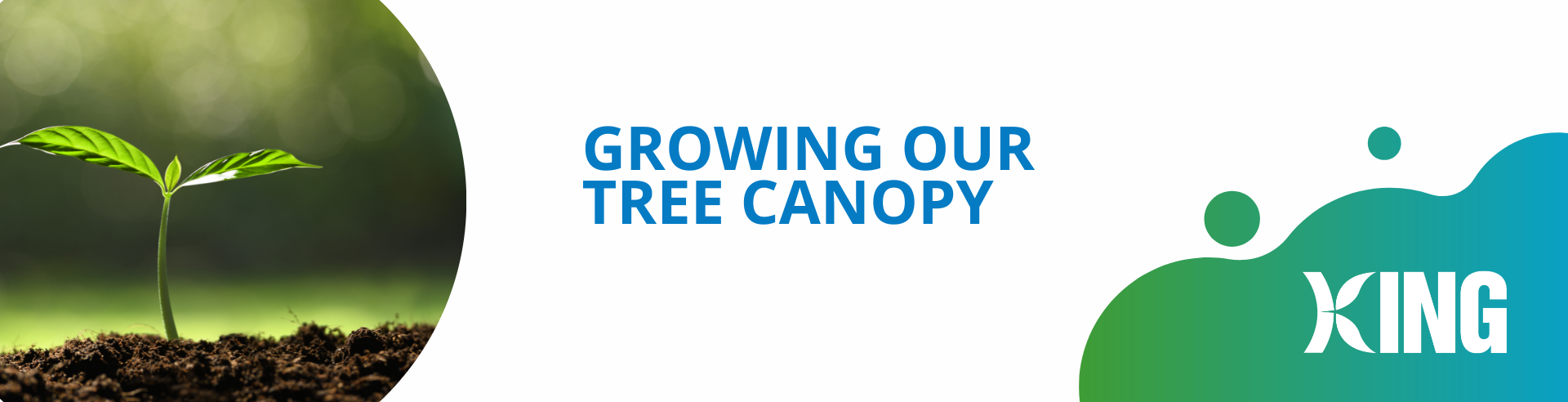 Growing our Tree Canopy