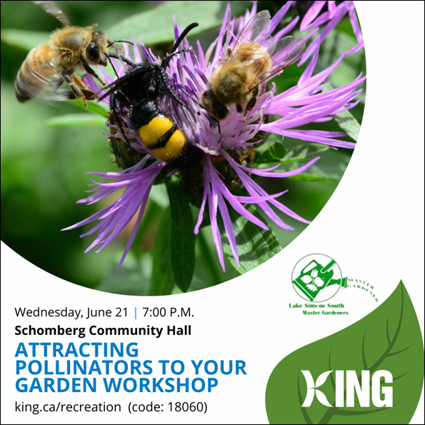 Pollinator Garden Workshop