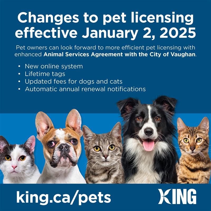 Pet licensing