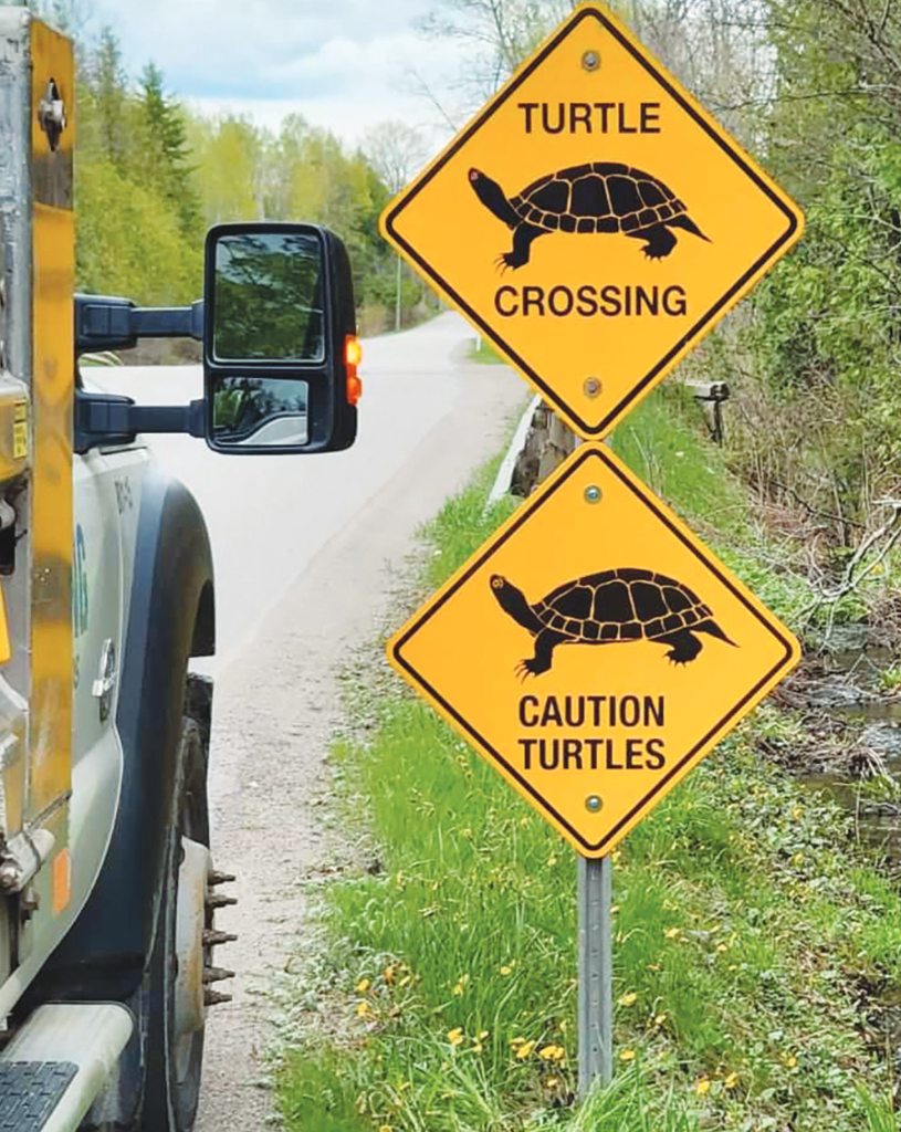 Turtle signs