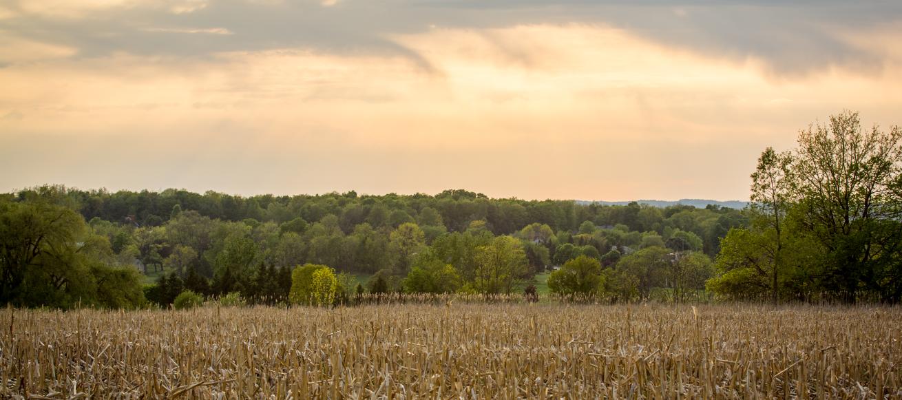 Fall Scenery