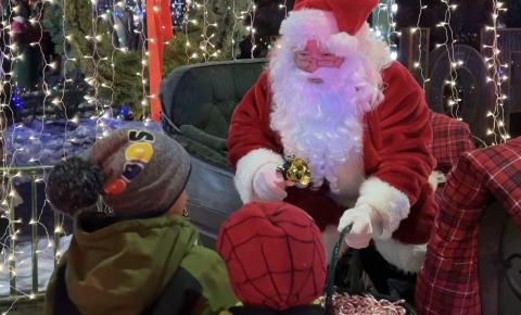 Nobleton Tree Lighting