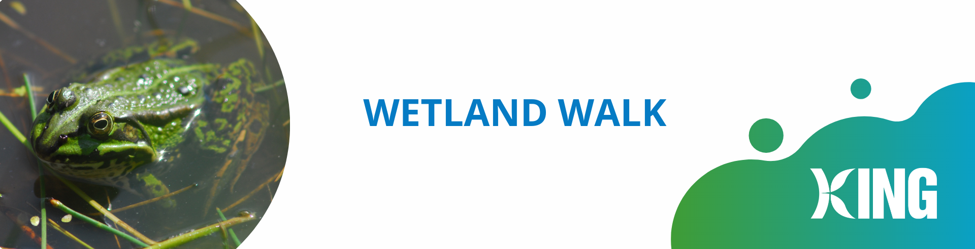 Wetland Walk Banner