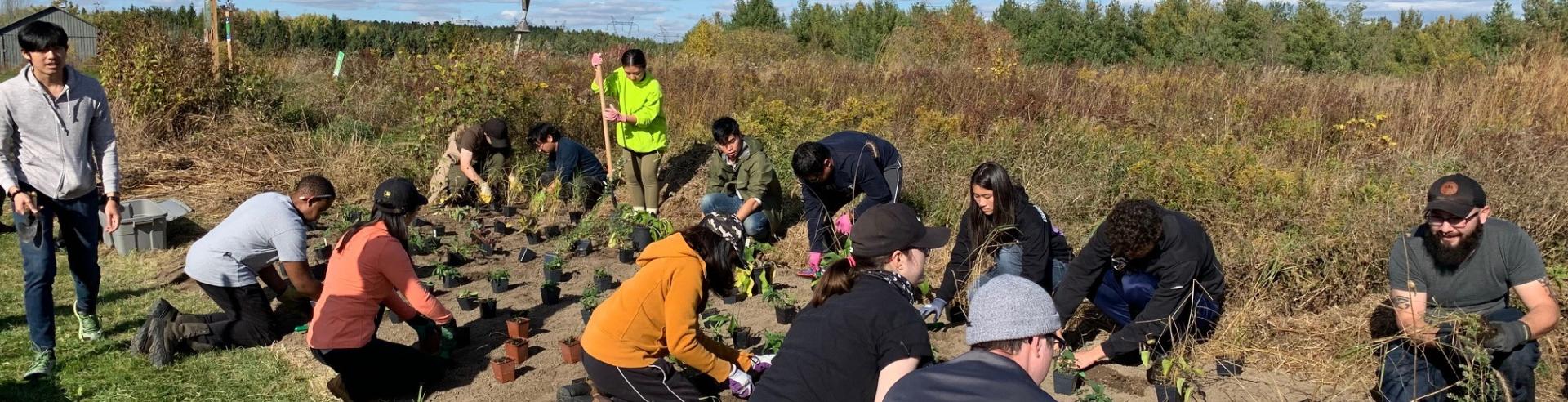 Cold Creek Wildflower Planting with Seneca College