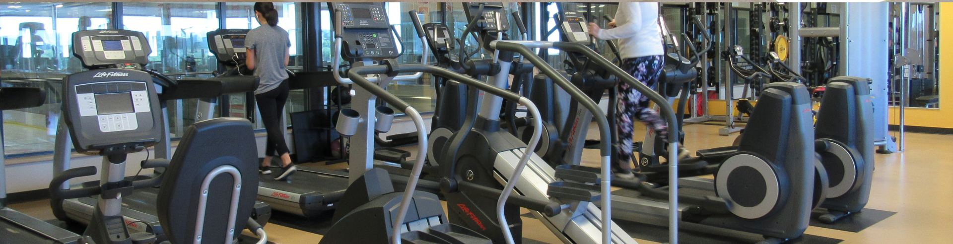 People working out on gym equipment at the Trisan Centre